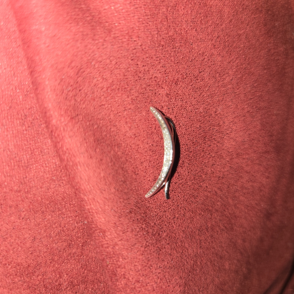 Silver Crescent Moon Earring